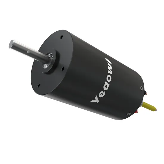 Brushless Waterproof Carpet Cleaner DC Motor High