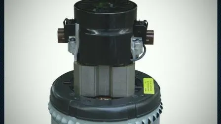 BLDC Electric Micro Coreless DC Motor for Vacuum Cleaner Motor/Draining Pump 