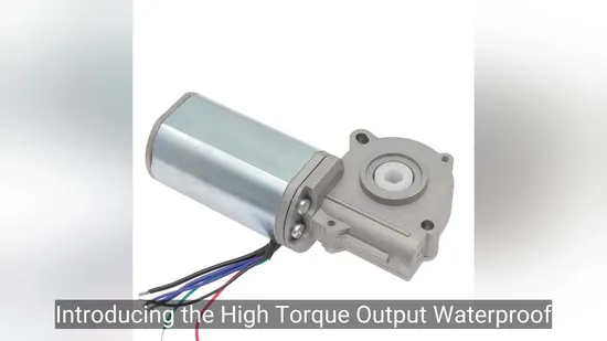 High Precision Low Rpm Coreless Brushed DC Motors 