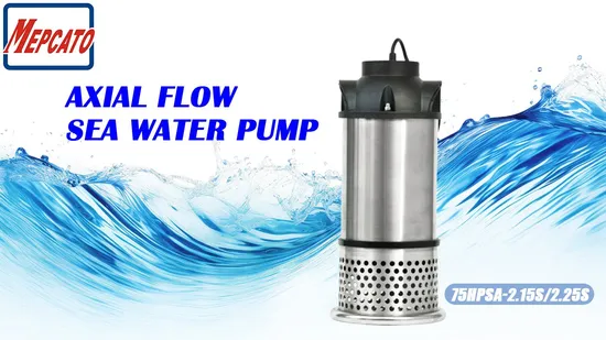 SS316 Motor Casing Large Flow Axial Flow Stainless Steel Electric Centrifugal Submerged River Sea Water Circulation Pump for Fishpond Agriculture Farm Pompa 