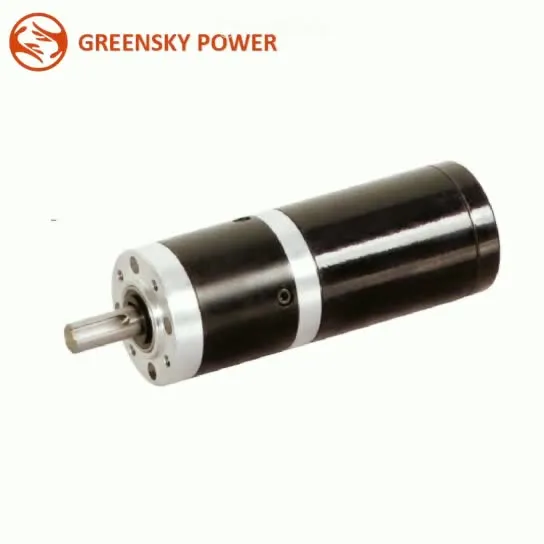High Torque Low Speed Hot Sell DC Brushless Coreless Gear Motor 