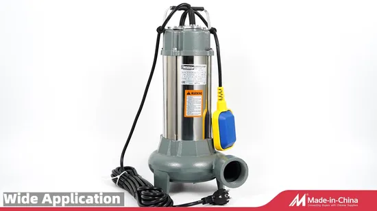 Big Flow High Head 304 Irrigation Wqd Series Single Phase Durable Submersible Pump with Stainless Steel Construction for Home Clean Dirty Sewage Water Pump 