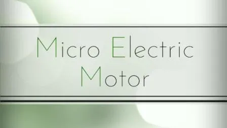 Electrical Toy Car DC Coreless Micro Motor for Blower Motor 