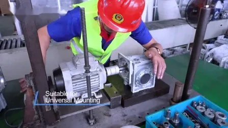 RV Series Worm Power Transmission Gear Motor 