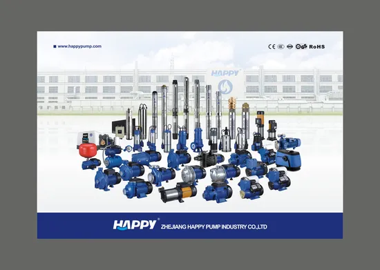 Cast Iron Double Impeller Multistage High Pressure Jet Booster Swimming Pool Dirty Sewage Smart Solor Deep Well Submersible Electric Clean Hydraulic Water Pump 