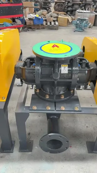 Durable Industrial Roots Vacuum Pump for Vacuum Coating and Metallurgy 