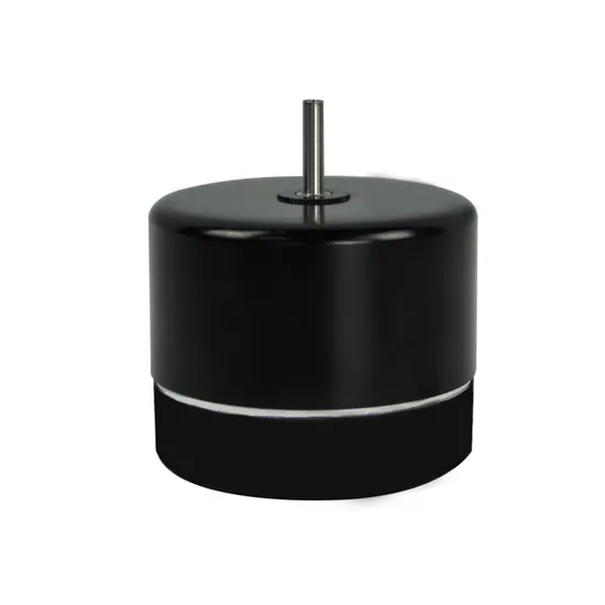 22mm 24V High Speed Brushless DC Coreless Motor for Industrial Use 